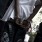 1 Student Arrested Every Day In NYC Schools, 94% Are Black Or Latino