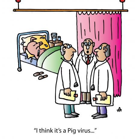 Pig Virus Contaminates Rotavirus Vaccines, But FDA Says No Problem