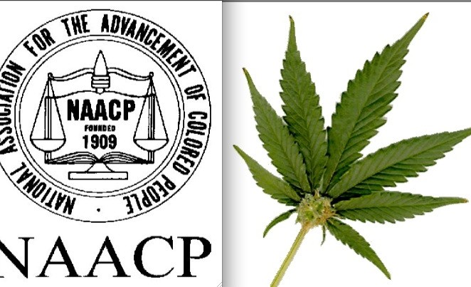 NAACP Endorses Legalizing Marijuana