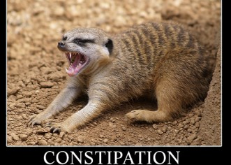 IAmNotADictionary Phrase Of The Day: Cerebral Constipation