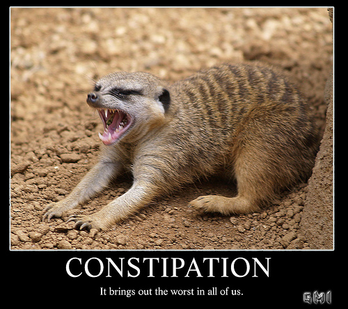 IAmNotADictionary Phrase Of The Day: Cerebral Constipation