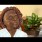 82-Year-Old Emma Anderson Dragged From Miami Train By Security For Singing Spirituals