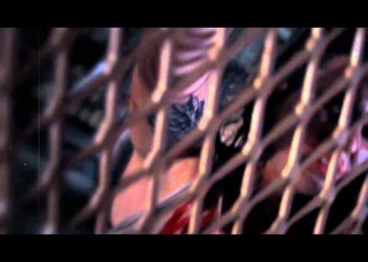 Big Pooh – They Say Feat. Choklate (Music Video)