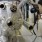 World’s Largest Atom Smasher May Have Detected ‘God Particle’
