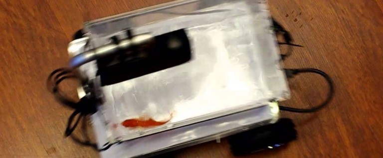 These Guys Invented A Remote Control Car For Their Goldfish That’s Steered By Their Goldfish [Video]