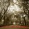 A Stroll with Chris Goldberg – A Short Story By: Eric Blair