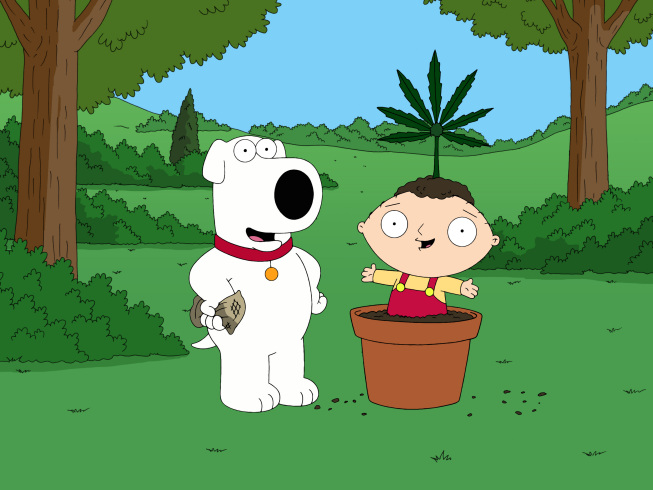 420 Meaning: The True Story Of How April 20th Became ‘Weed Day’ [Video]