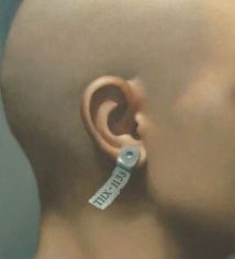 George Lucas Presents: THX 1138 (Original 1971 Full Movie)