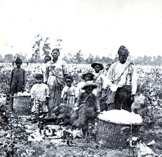 With No More Cotton To Pick, What Will America Do With 36 Million Black People?